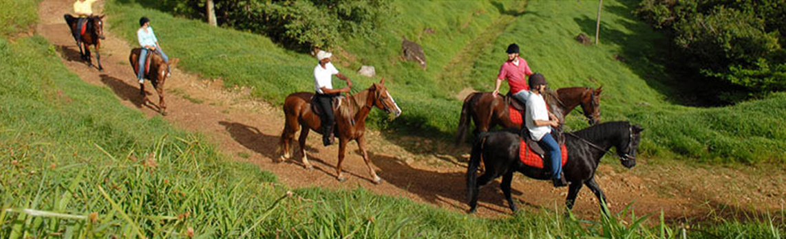 HORSE RIDING